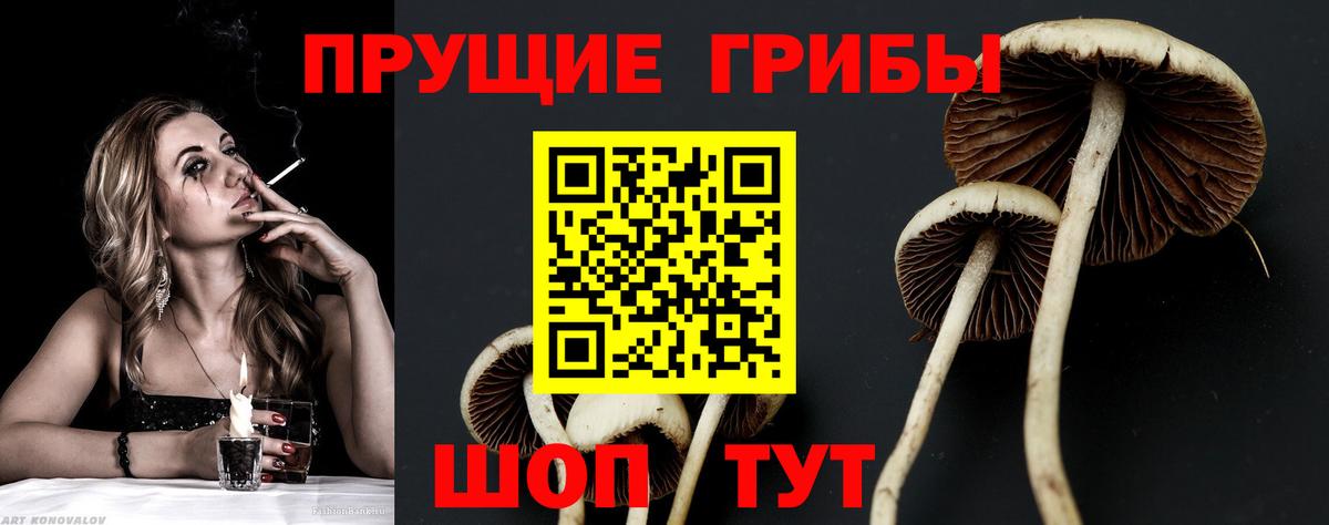 Галлюциногенные грибы мицелий  Вход с VPN  Сатка  Псилоцибиновые грибы MAGIC MUSHROOMS 